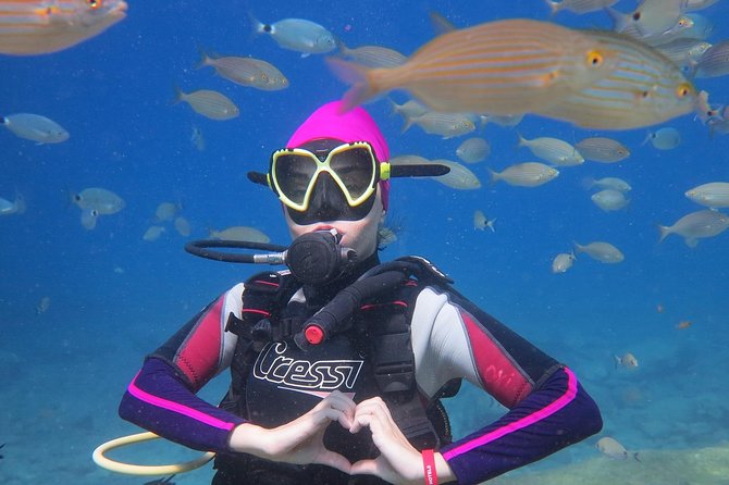 Scuba Diving from Dalyan - Underwater highlights: fish, octopus, and the bottle-feeding moment