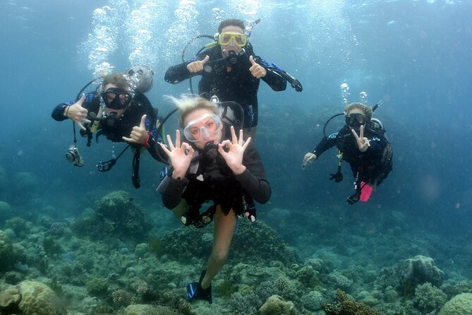 Scuba Diving in Antalya from Antalya & Kemer - The Second Session: Around 7 Meters, More Movement, and Jellyfish to Respect