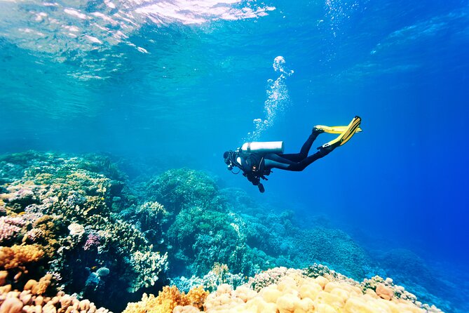 Scuba Diving in Side - Who this Side experience is best for