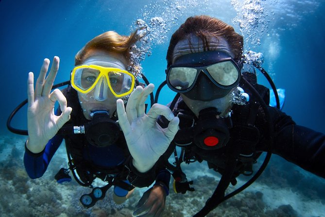 Scuba Diving in Side - Two underwater sessions: what you’ll do and what you might see