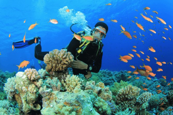 Scuba Diving Tour - SOLYMOS TRAVEL in Antalya: What Makes This Day Feel Good