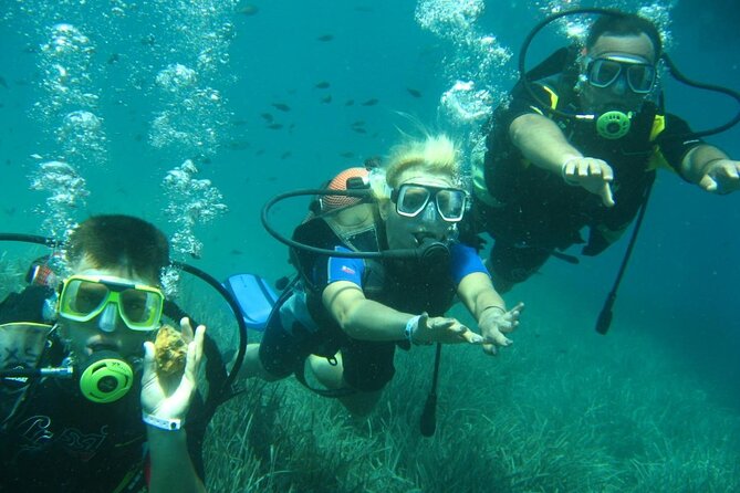 Scuba Diving Tour - Lunch on Board: The Small Detail That Makes the Day Work