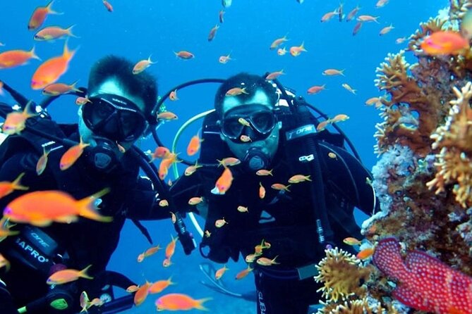 Scuba Diving Tour - The Real Star: 1:1 Instruction and Gear Choices for Different Experience Levels