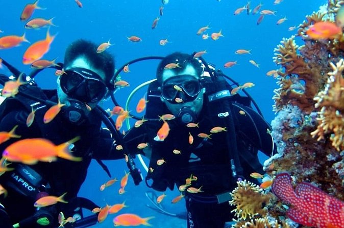 Scuba Diving Tour - What Non-Scuba Guests Can Do: Swim Breaks, Snorkeling, and Boat-Side Fun