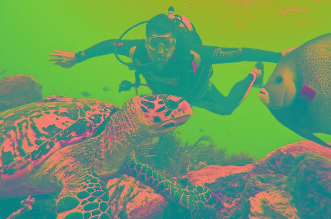 Scuba Diving Tour - Gear and Packing List: Simple Items That Prevent Hassle