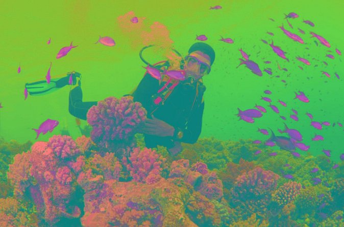 Scuba Diving Tour - Who This Tour Suits Best (And Who Might Reconsider)