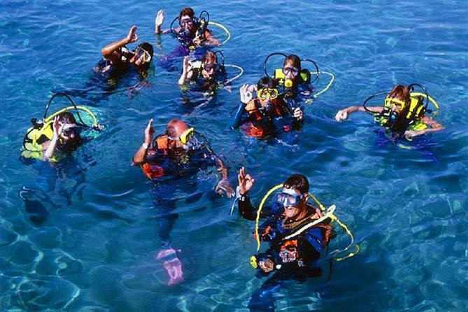 Scuba Diving Tour From Kusadasi / Selcuk - Getting to the boat: pickup, timing, and what to bring