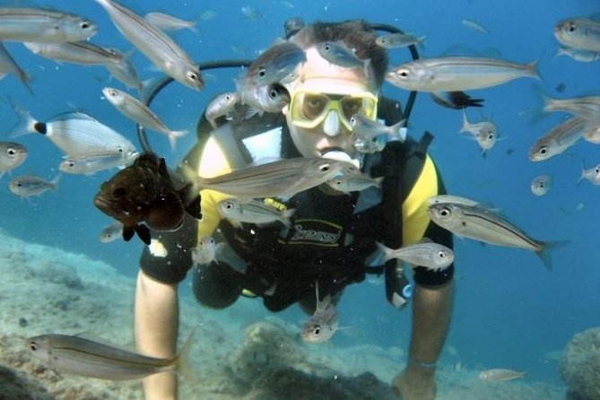 Scuba Diving Tour From Kusadasi / Selcuk - Staff, safety, and the real-world feel of the group