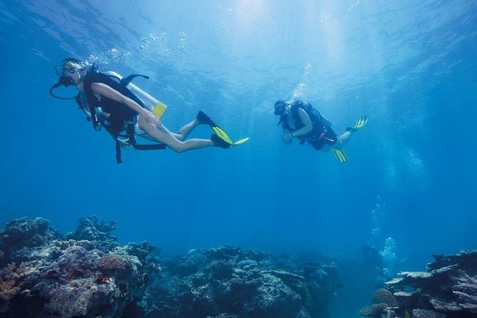 Scuba Diving Tour From Kusadasi / Selcuk - Price and value: is $91.45 worth it?