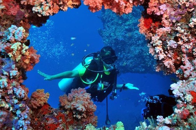 Scuba Diving Tour From Kusadasi / Selcuk - Who this tour fits best (and who should think twice)