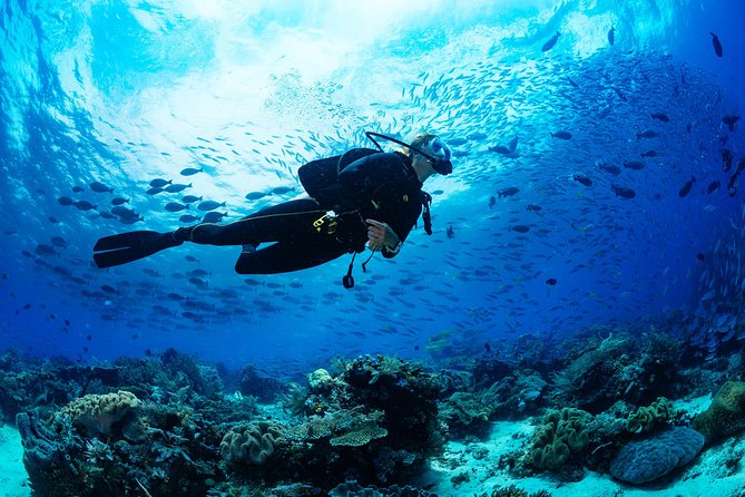 Scuba Diving Tour in Bodrum - Two Water Sessions, Two Different Goals: Learning vs Comfort