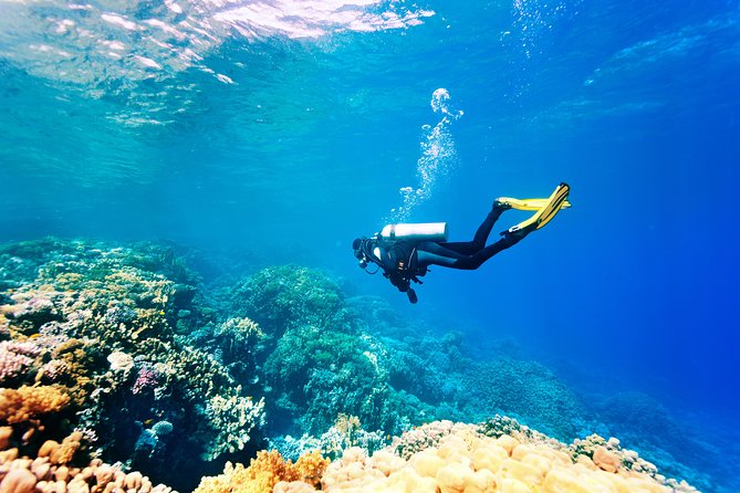 Scuba Diving Tour in Bodrum - Gear and Hygiene: What to Check Before You Hand Over Your Mouthpiece