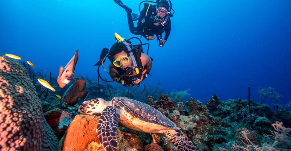 Scuba Diving Tour with Transfer From Alanya and city of Side - Transfer from Alanya and Side: the part you shouldn’t ignore