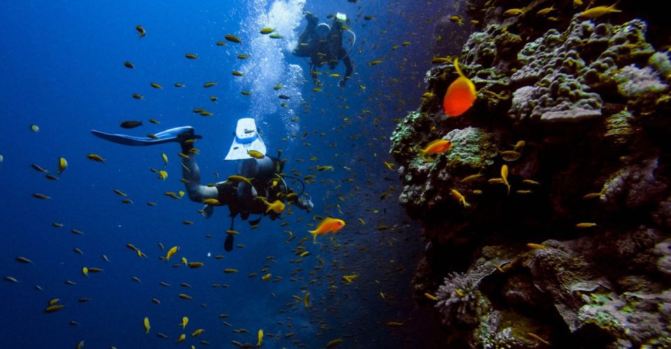 Scuba Diving Tour with Transfer From Alanya and city of Side - Gear, comfort, and that wetsuit reality check
