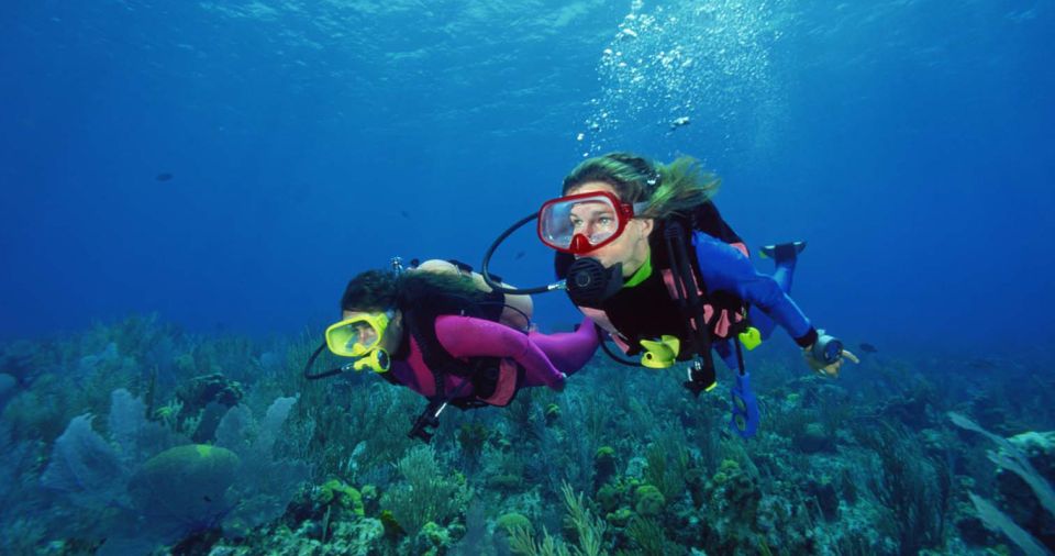 Scuba Diving Tour with Transfer From Alanya and city of Side - Price and value: is $59 actually a good deal?