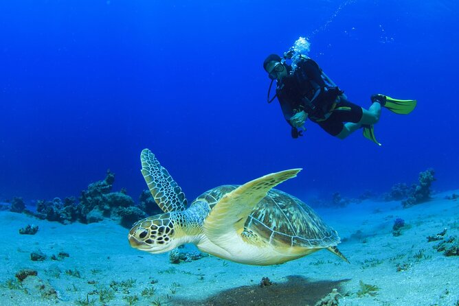 Scuba Diving Tour - Stop 1 and Getting Organized: Solymos Travel and Your First Morning Steps