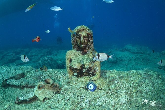 Scuba Diving Under Water Museum - Gear, Training, and Insurance: The Stuff Beginners Actually Need
