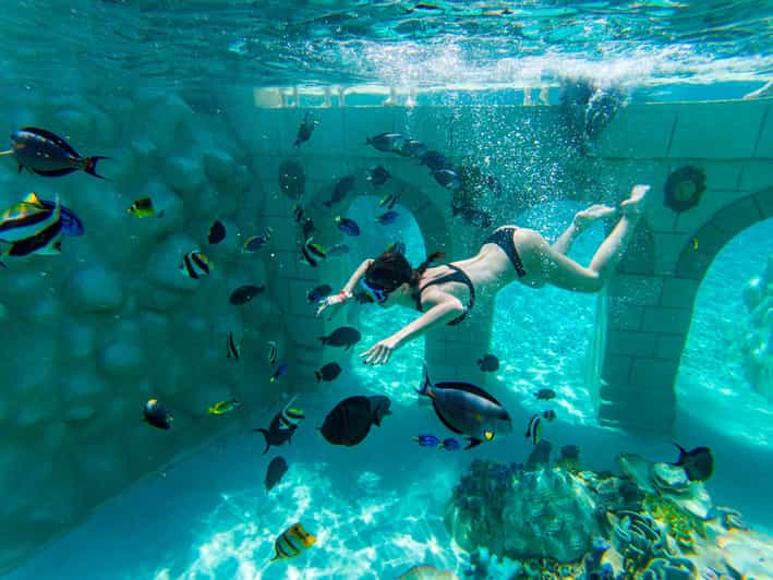 Seapark: Swimming in Pool Aquarium with Authentic Creatures - Sealanya Seapark: A One-Price Day of Saltwater Snorkeling