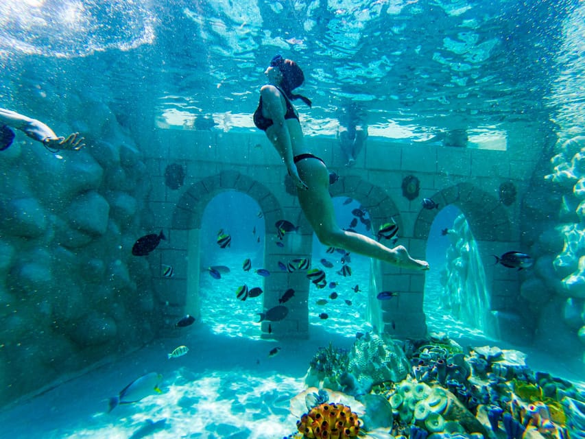Seapark: Swimming in Pool Aquarium with Authentic Creatures - The Saltwater Aquarium Pools: Coral Reefs, Tropical Fish, and Amphoras