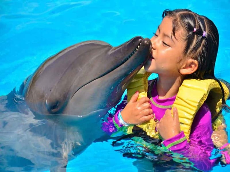 Side/Alanya: Swimming with Dolphins and Dolphin Show - How This Side/Alanya Dolphin Experience Fits Into 2.5 Hours