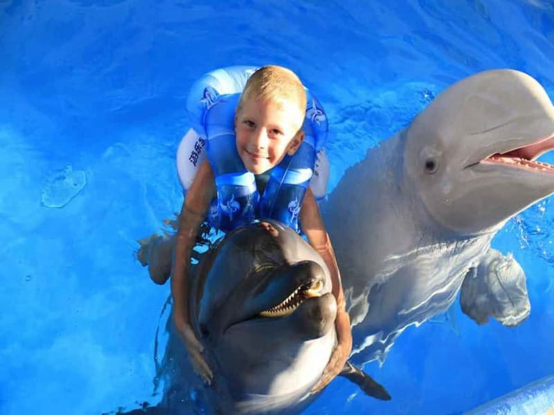Side/Alanya: Swimming with Dolphins and Dolphin Show - The Swim Session: Pool Time, Life Vests, and a Dolphin-Led Moment