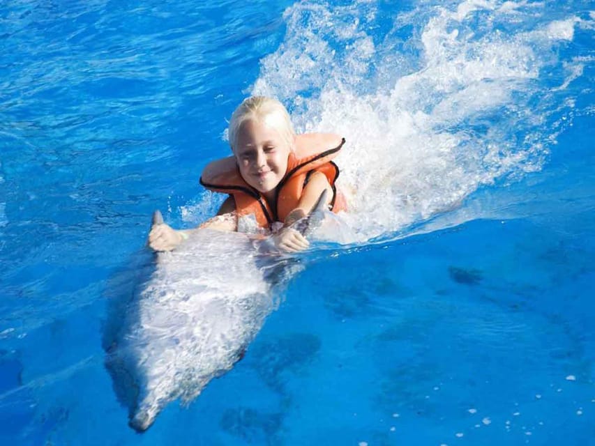 Side/Alanya: Swimming with Dolphins and Dolphin Show - Seal and Sea Lion Interaction: Cute, Controlled, and Strictly Guided