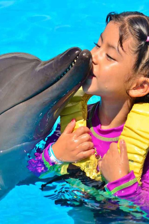 Side/Alanya: Swimming with Dolphins and Dolphin Show - Photos: The Extra Cost You Should Plan For