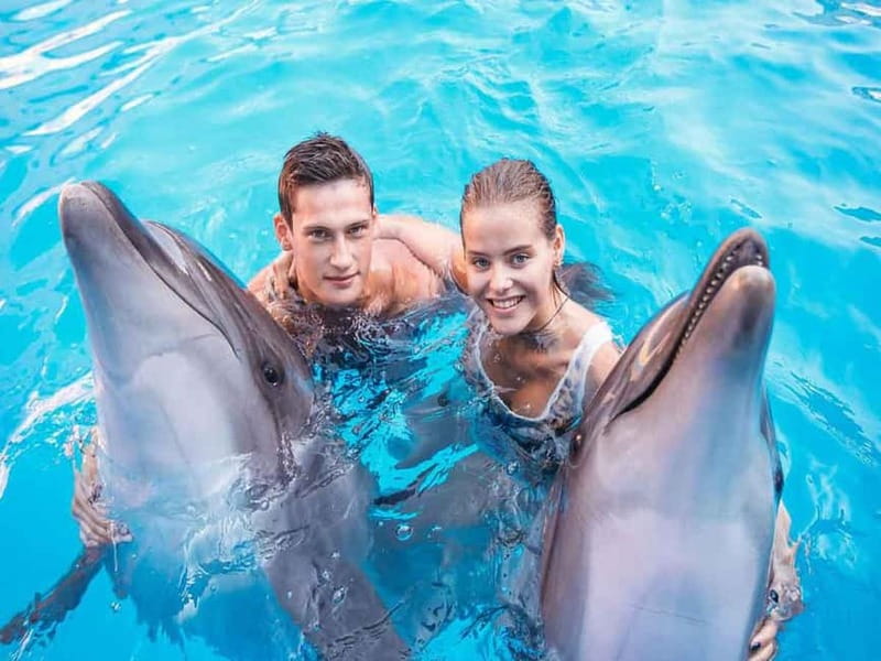 Side/Alanya: Swimming with Dolphins and Dolphin Show - What to Bring (So You’re Not Rushing in Daylight Chaos)
