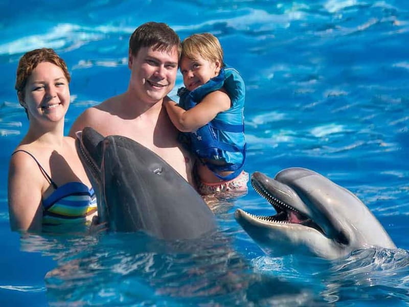 Side/Alanya: Swimming with Dolphins and Dolphin Show - Getting There: Hotel Pickup, Drop-Off, and Simple Timing Hacks