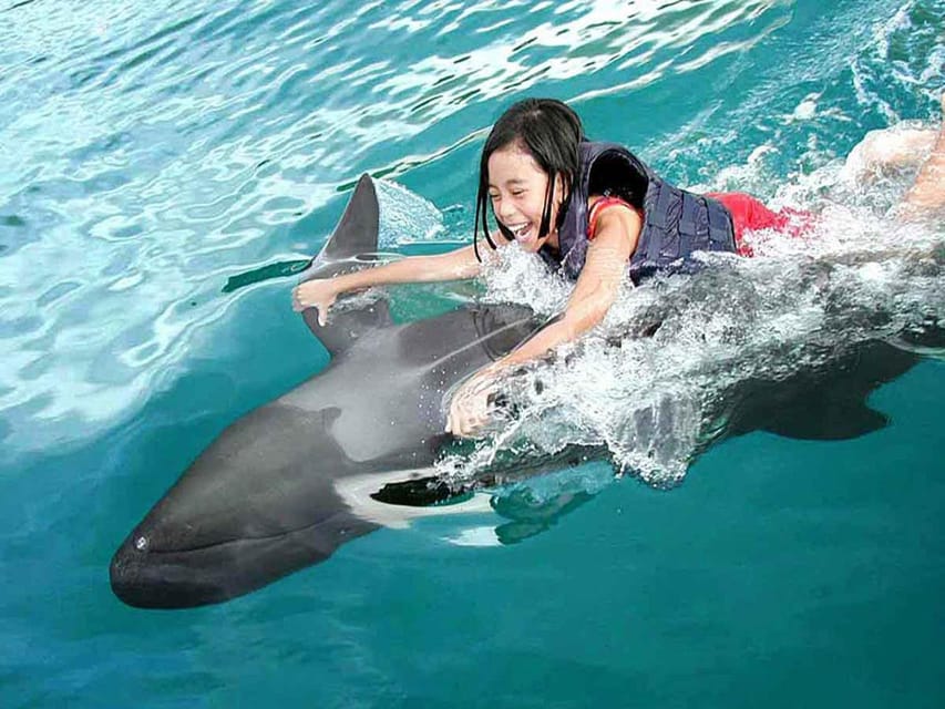 Side/Alanya: Swimming with Dolphins and Dolphin Show - Value Check: Is $260 a Good Deal for You?