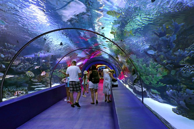 Side: Antalya Aquarium Ticket With Optional Transfer - Price and value: is $48.17 a fair deal?