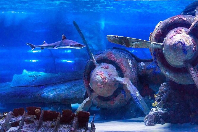 Side: Antalya Aquarium Ticket With Optional Transfer - Location and meeting point: simple start, clear end