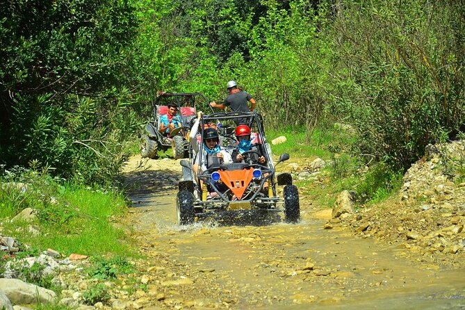 "Side Buggy Safari: Off-Road Thrills and Adventure!" - Key Highlights That Matter