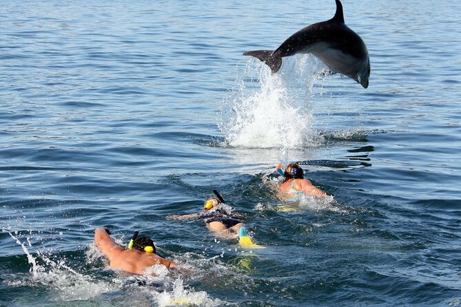 Side Dolphin Island Boat Trip With Lunch And Soft Drinks - Getting from Side to Kumköy Pier Without Stress
