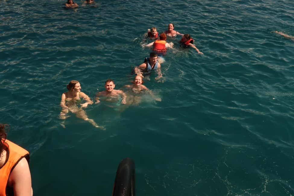 Side Dolphin Island Boat Trip with Lunch & Swim Stops - Lunch onboard, drinks extra: how to get good value out of $29