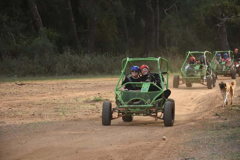 Side Forest Buggy Safari with Hotel Pickup - Reviews in Real Life: What’s Consistently Good, and What Needs a Reality Check