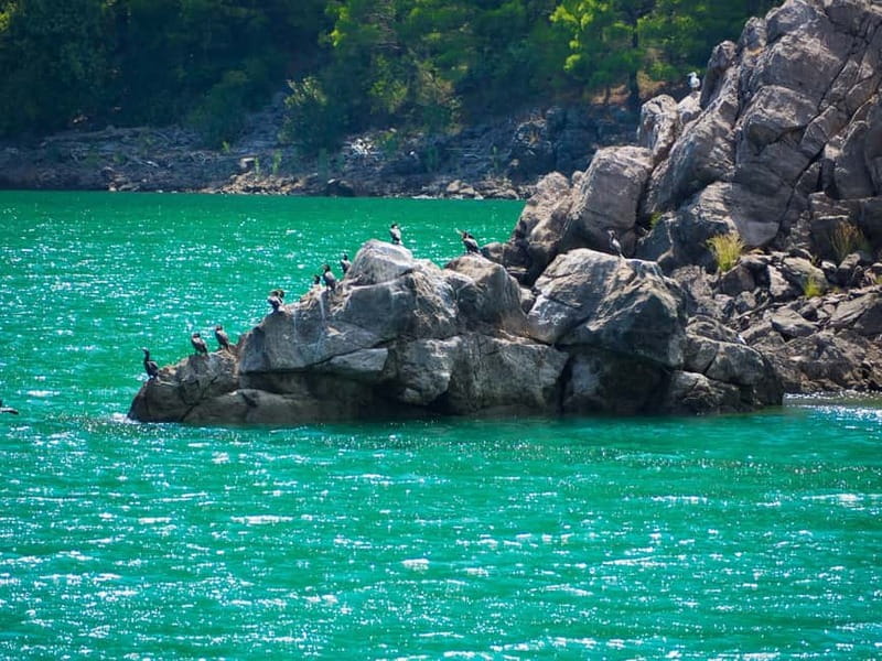 Side: Green Canyon Boat Trip with Lunch near Green Lake - Swim Breaks in Emerald Green Water (and What to Do If It’s Cold)