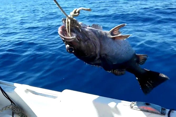 "Side Half-Day Fishing Adventure: Transfer Included!" - What You’re Actually Buying for $58.18 in Side