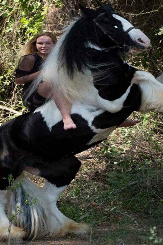 Side: Horse Safari Tour - The Actual Ride: Taurus Trails, Forest Paths, and the Pace You Can Handle