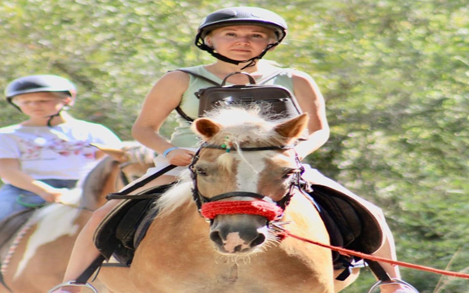 Side: Horse Safari Tour - Sea Views: When You’ll See the Coast (and When It Might Be Limited)