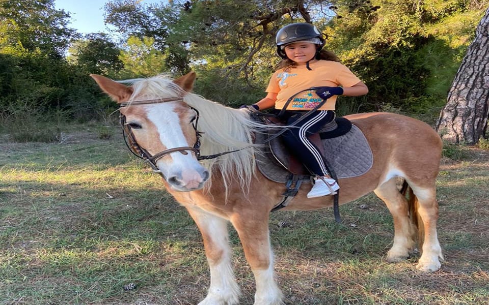 Side: Horse Safari Tour - English Instructions and Real Communication