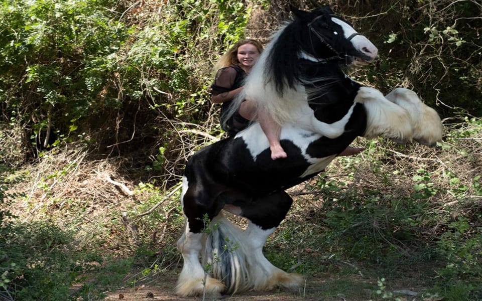 Side: Horse Safari Tour - Price and Value: Is $46 for One Hour a Fair Trade?