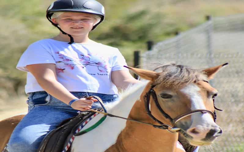 Side: Horse Safari Tour - Your First Minutes: Training, Safety, and Riding Comfort