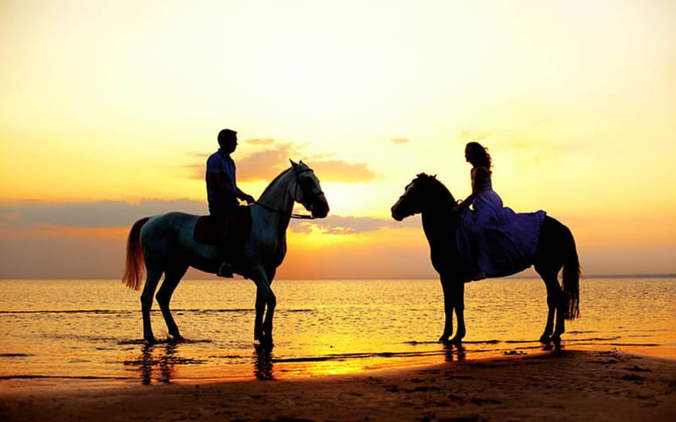 Side: Horseback Riding Tour in Nature - Why this Side horseback tour feels different from a typical ride