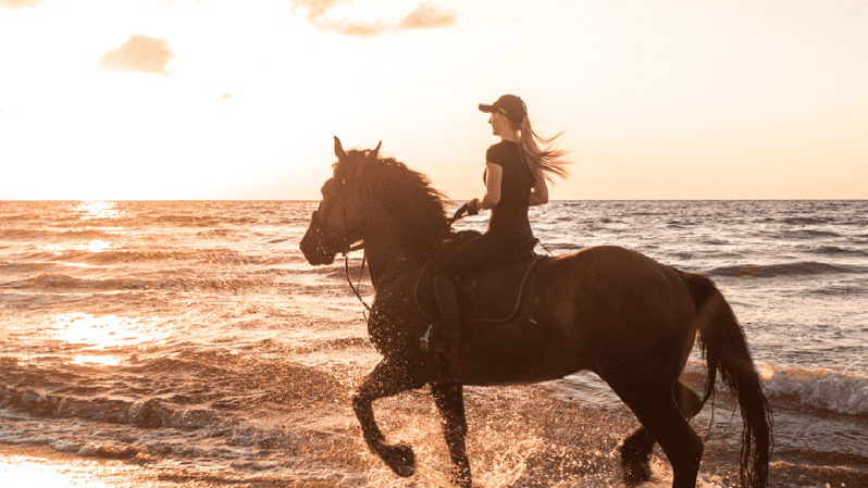 Side: Horseback Riding Tour in Nature - Pickup around Side: convenience that can make or break the day