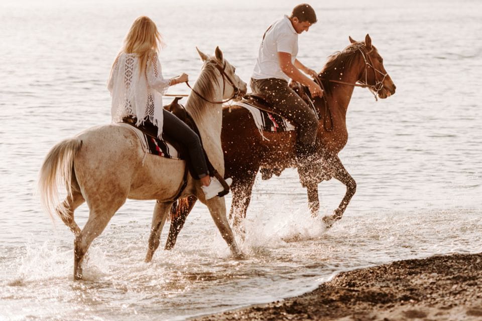 Side: Horseback Riding Tour in Nature - What the ride feels like (and who it suits best)