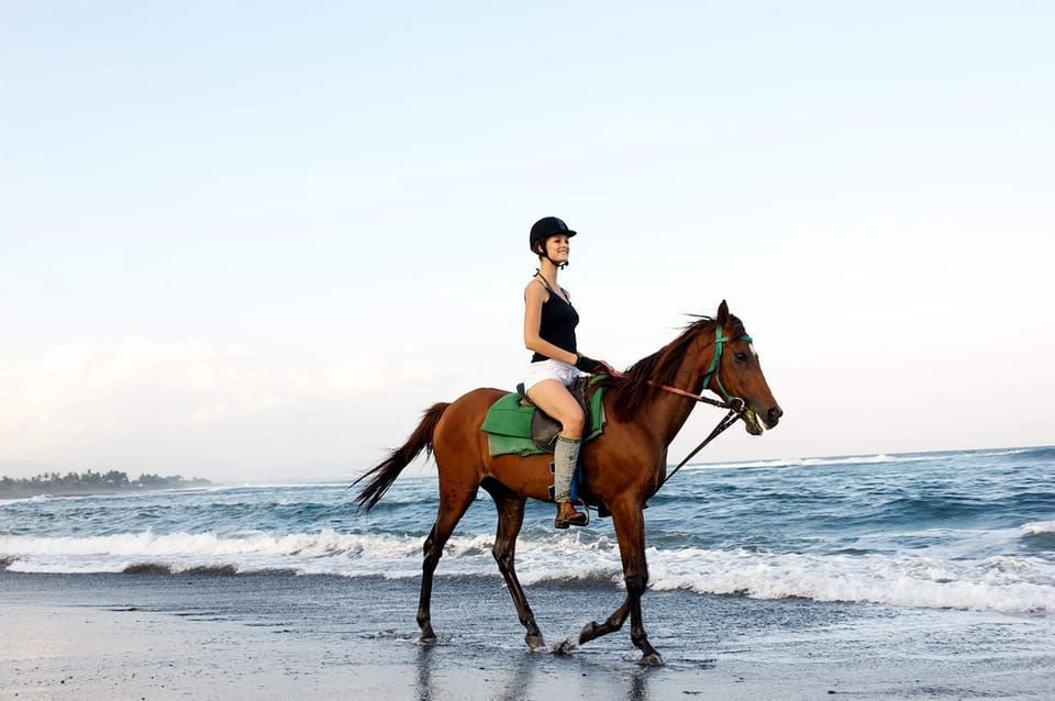 Side: Horseback Riding Tour in Nature - Transfers, guides, and group size: how to judge quality on the spot
