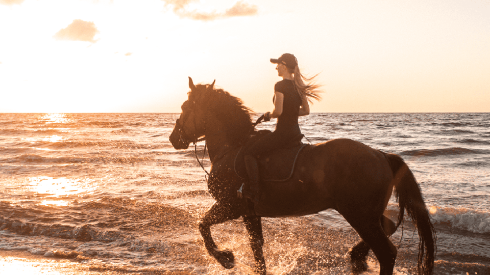 Side: Horseback Riding Tour in Nature - What to bring so you’re comfortable from start to finish
