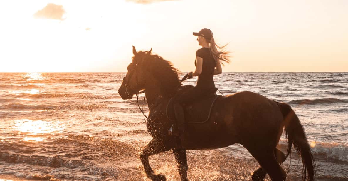 Side: Horseback Riding Tour in Nature - Price and timing: what $58 for 2 hours really buys you