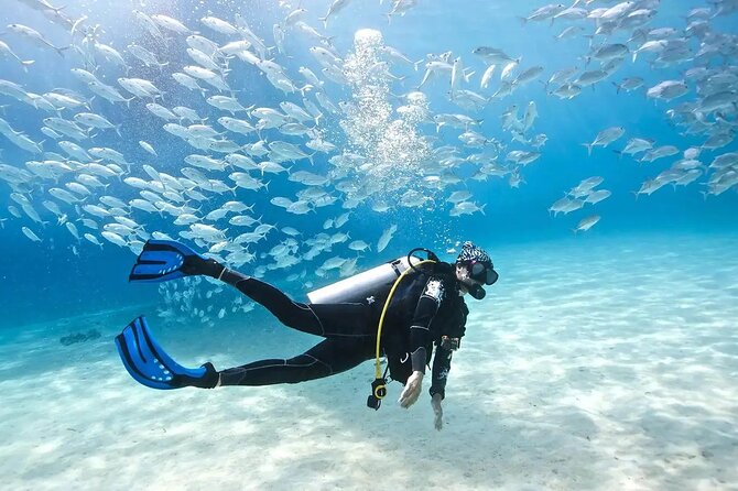 Side /Manavgat : Underwater Museum Scuba Diving w/ Lunch Transfer - The crew and instruction style (especially if you’re nervous at first)